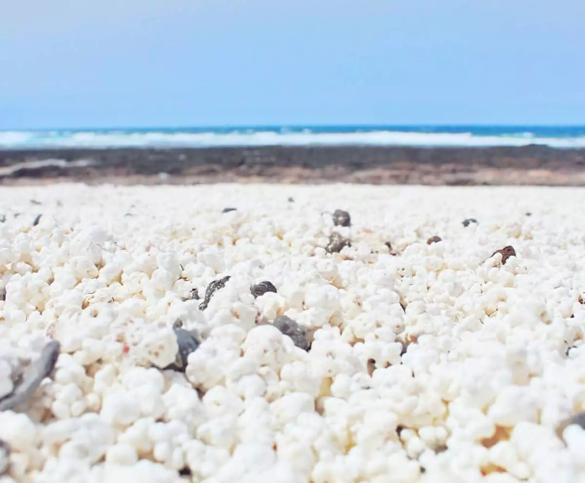 Fuerteventura Wat is dit vreemde popcornvormige zand